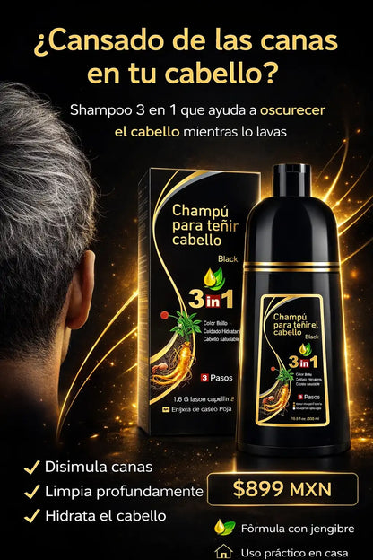 Shampoo Natural 3 en 1 con Jengibre para Disimular Canas al Instante