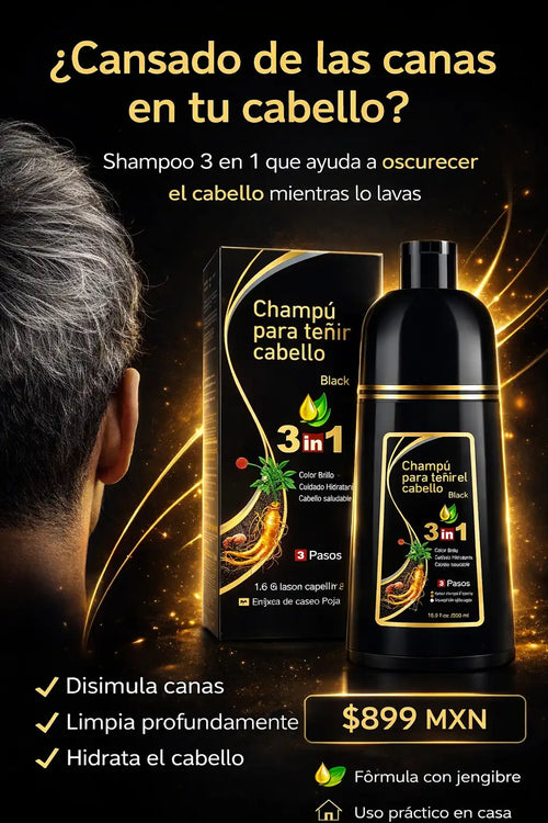 Shampoo Natural 3 en 1 con Jengibre para Disimular Canas al Instante